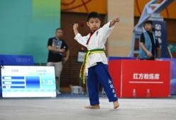包含跆拳道超级杯，南城玄武队与胶东闪电队强势横扫，VAR改判成焦点！赛场纪律更严谨的词条开云集团