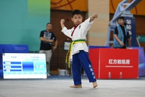 包含跆拳道超级杯，南城玄武队与胶东闪电队强势横扫，VAR改判成焦点！赛场纪律更严谨的词条开云集团